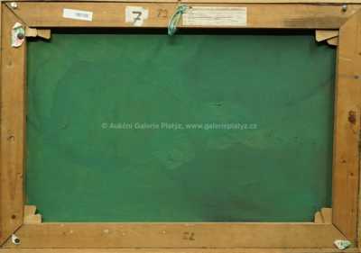  / Opuštěný mlýn / Emanuel Pryl