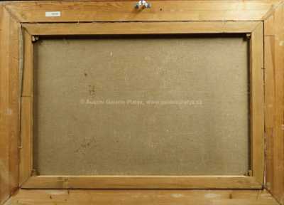  / Jez na potoce / Vít Skála