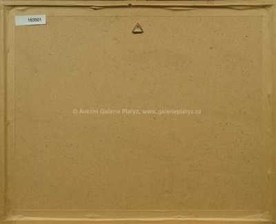  / Záchranná služba Praha / Václav Zapadlík