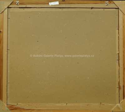  / Pan Bohumil vykládá tarot / Josef Jíra