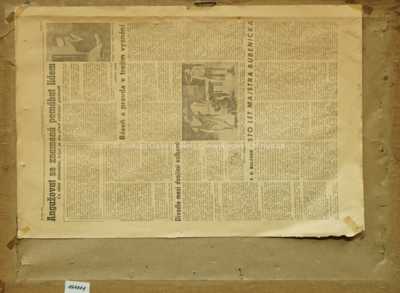  / Živly na Svratce / Ota Bubeníček