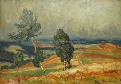  / Živly na Svratce / Ota Bubeníček