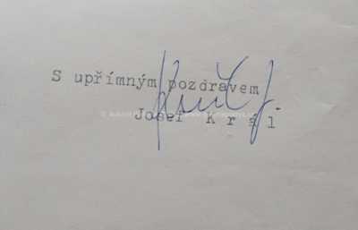  / Figura / Josef Král_