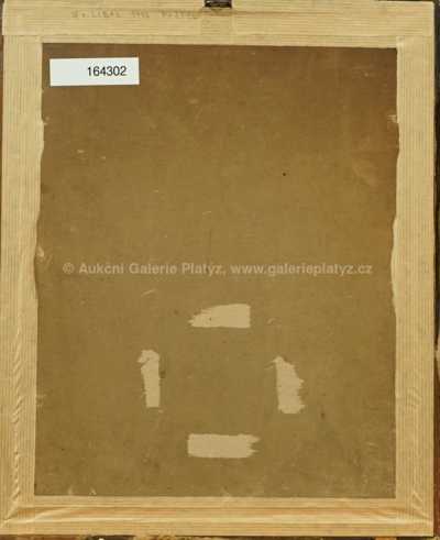  / Prosluněný den / František Líbal