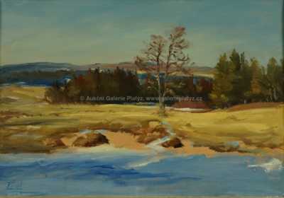  / Říční břeh / Jindřich Fürst