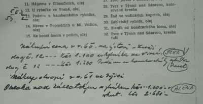  / Podzim u Kamberského rybníka / Ota Bubeníček