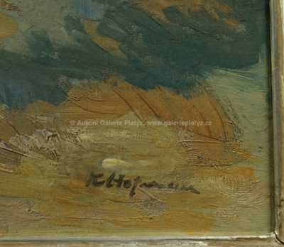  / Kopcovitá krajina / Karel Hofman