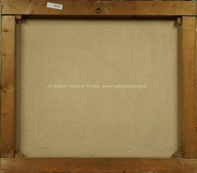  / Zima / Karel Schadt