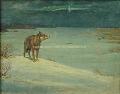  / Vlk / Stephan Kasprzak