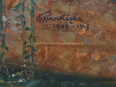  / Zuzana v lázni / František X. Procházka