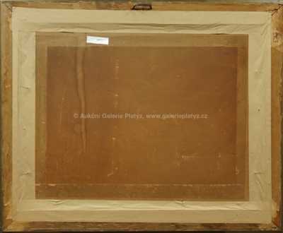  / Lesní potok / František Daněk - Sedláček