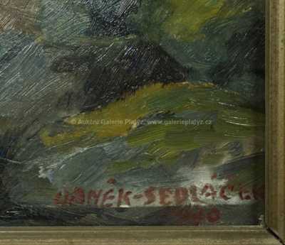  / Lesní potok / František Daněk - Sedláček