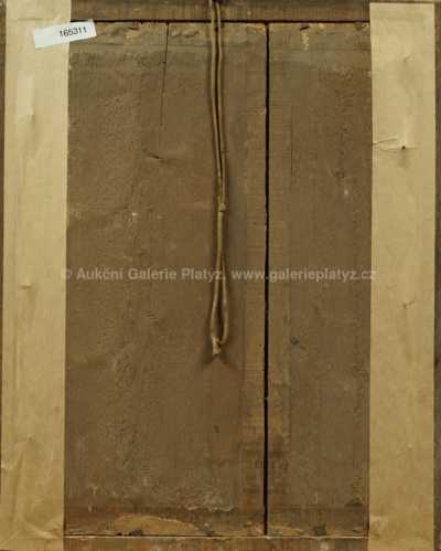  / Jiřičky / Amalie Mánesová