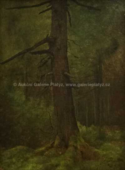  / Lesní interiér / Julius Mařák