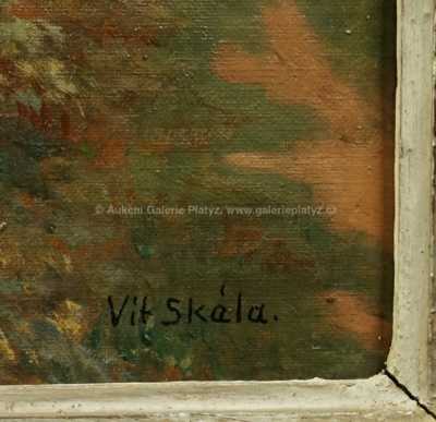  / Rozkvetlý keř / Vít Skála