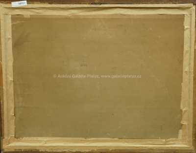  / Lokomotiva / Jaroslav Ronek