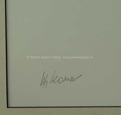  / Linie / Zdeněk Sýkora