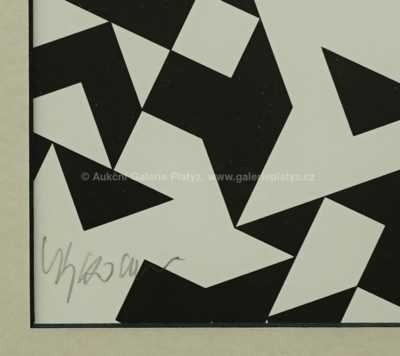  / Černobílá struktura / Zdeněk Sýkora