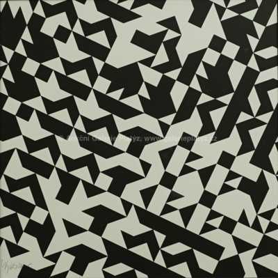  / Černobílá struktura / Zdeněk Sýkora