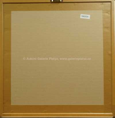  / Černobílá struktura / Zdeněk Sýkora