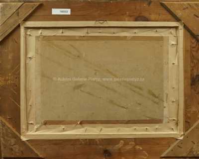  / Potok s vrbami / Oldřich Hlavsa