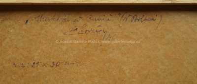  / Krajina / Čeněk Choděra