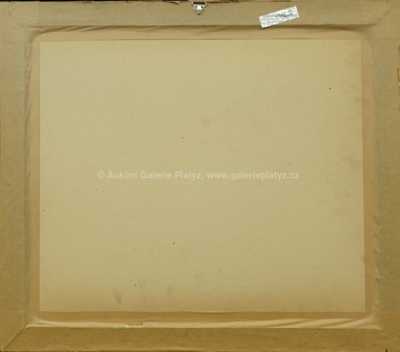  / Ovocné zátiší / Václav Špála