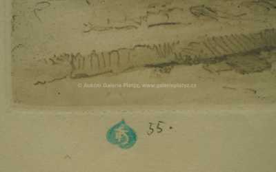  / Před obchůdkem / František Tavík Šimon