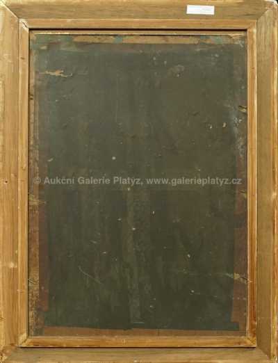  / Nice / Jan  Dědina