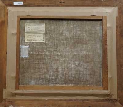  / Cesta v poli / Alois Janeček Pardubský