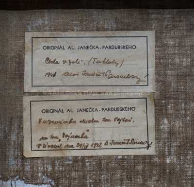  / Cesta v poli / Alois Janeček Pardubský