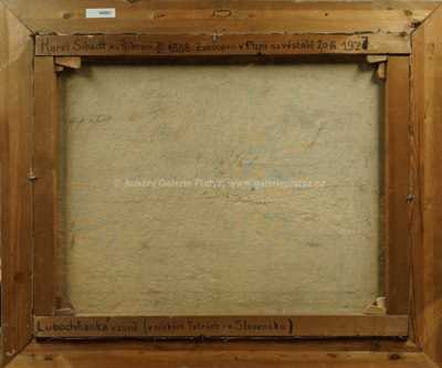  / Zima v Nízkých Tatrách / Karel Schadt