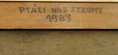  / Ptáci nad stromy / Vladimír Komárek