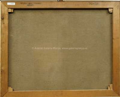  / Ptáci nad stromy / Vladimír Komárek