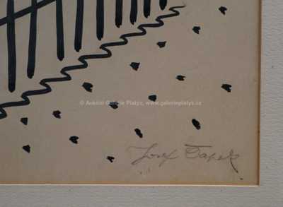  / Svědomitý zahrádkář / Josef Čapek