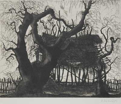  / Strom / Václav Sivko