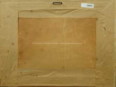  / Chrpové pole / Josef Jambor