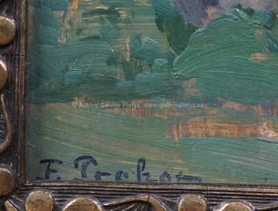  / Stará chaloupka / Ferdinand Prokop