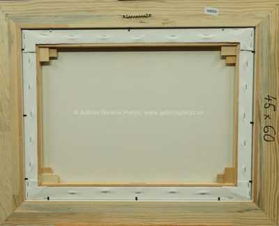  / Dělník-rolník-pracující inteligent   / František Ringo Čech