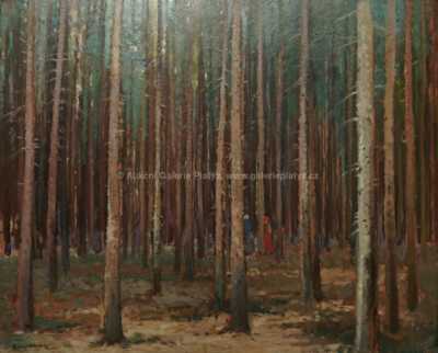  / Les u Hostišova / Gustav Macoun