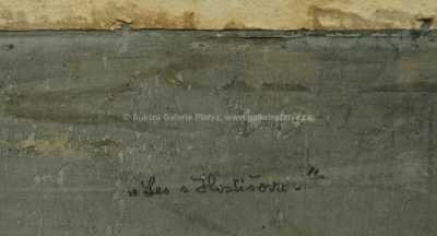  / Les u Hostišova / Gustav Macoun