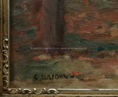  / Les u Hostišova / Gustav Macoun