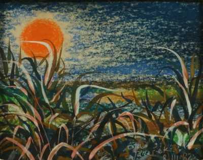  / Slunce v travách / Ota Janeček