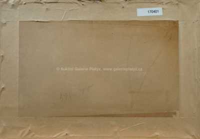  / Nový mlýn u Bojanova / František Kaván