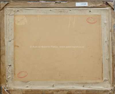  / Doškové chalupy / Ferdinand Prokop