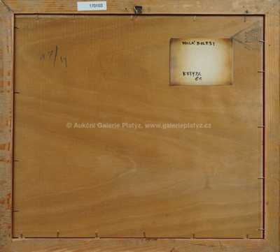  / Malá bolest / Vladivoj Kotyza