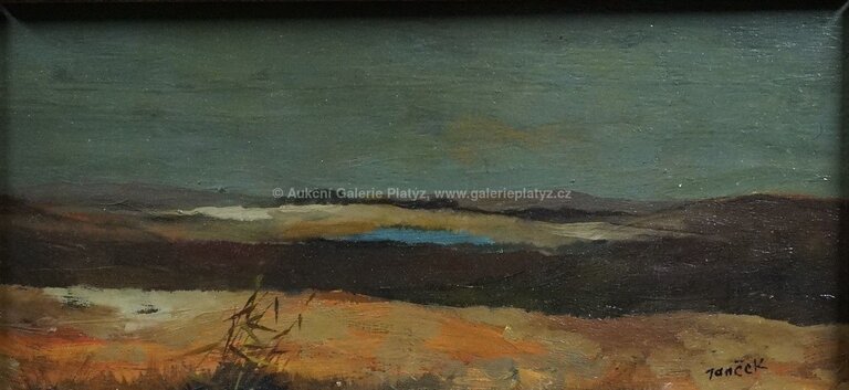  / Trávy v krajině / Ota Janeček