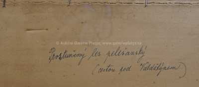  / Prosluněný les / Jaroslav Kafka