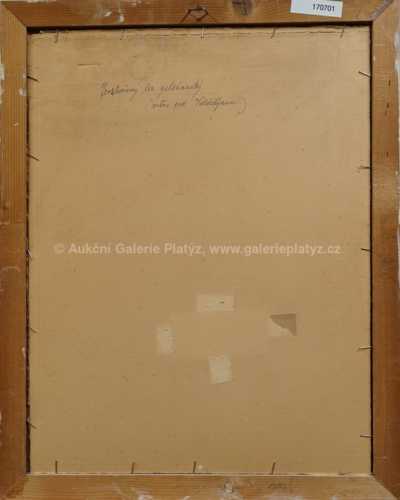  / Prosluněný les / Jaroslav Kafka