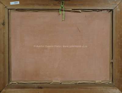  / Na soutoku Vltavy a Sázavy / J. Steinský